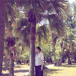 三澤 裕美の旅行プロフィール