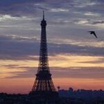 Yuki  Higashinoの旅行プロフィール