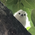 怪獣の旅行プロフィール
