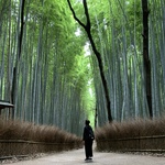 4の旅行プロフィール