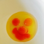 ゆうちばの旅行プロフィール