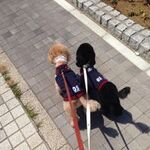 Mika Hayashiの旅行プロフィール