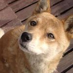 宇野 雄の旅行プロフィール