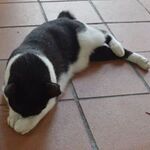 Hideki Kojimaの旅行プロフィール